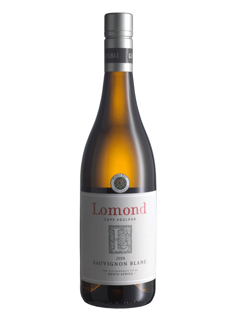 Buy Lomond Phantom Pinot Noir wine in Cape Town CBD