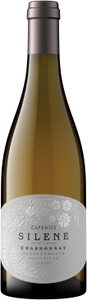 Buy Capensis Silene Chardonnay Wine in Cape Town CBD